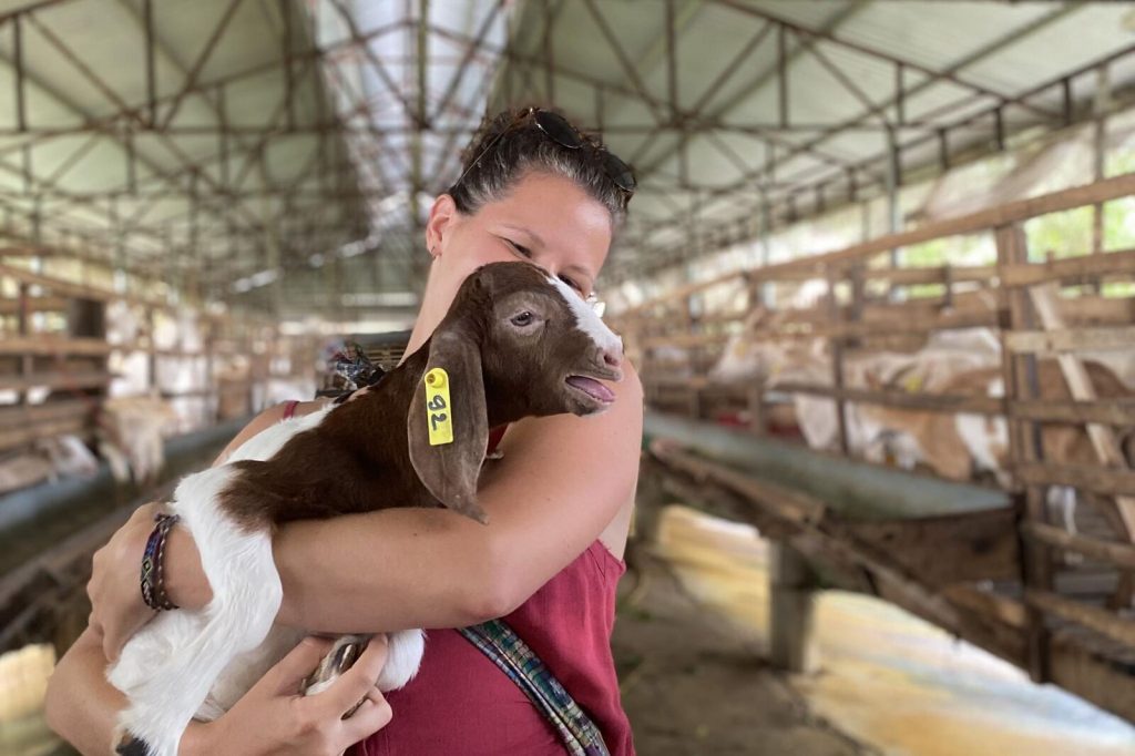 Holding a young goat at the goat farm.
