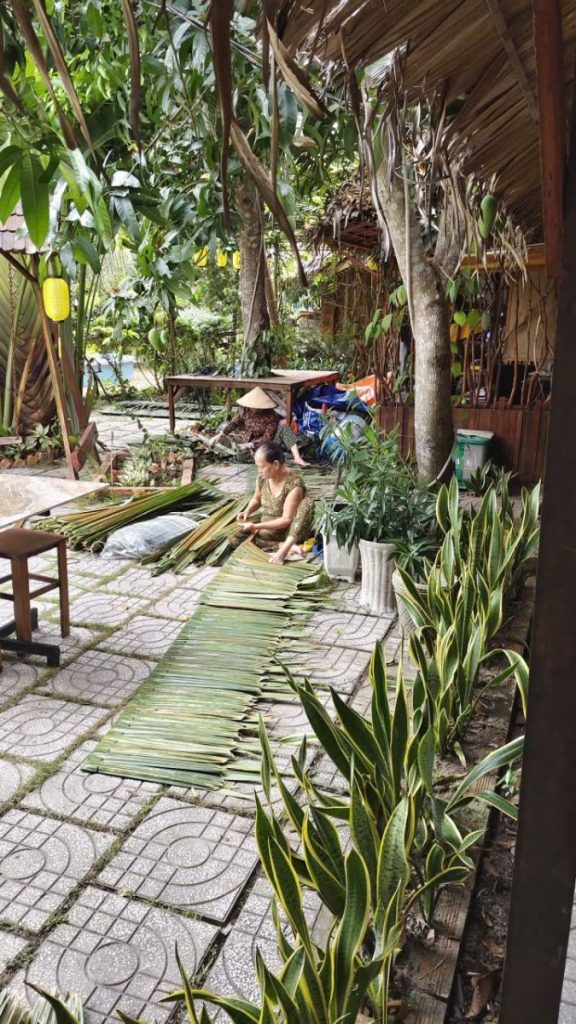 Rows of thatch panels laid out along a tiled garden path.