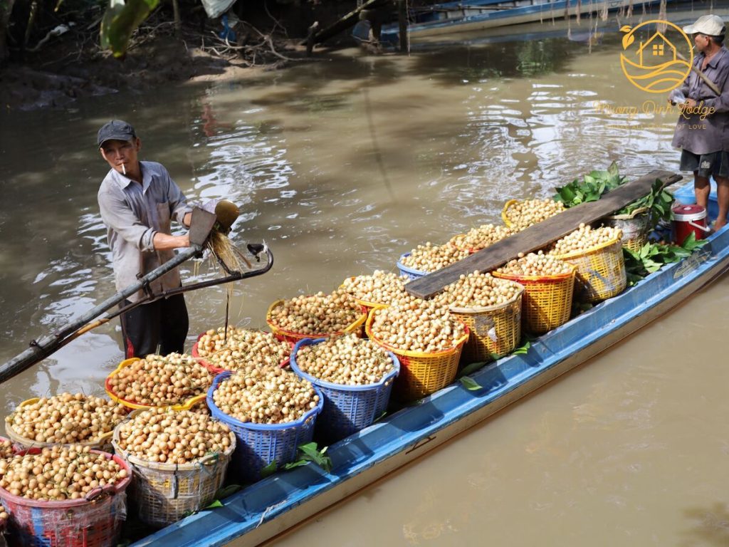 A man steering a long boat loaded with baskets of small round fruit.