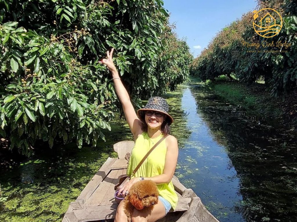 A woman with a small brown dog in a boat, reaching toward fruit trees along a canal.