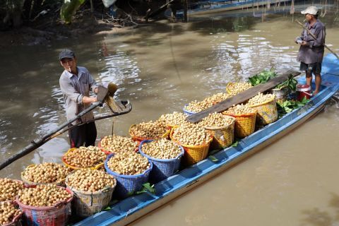 Two men on a long boat loaded with baskets of small round fruit.