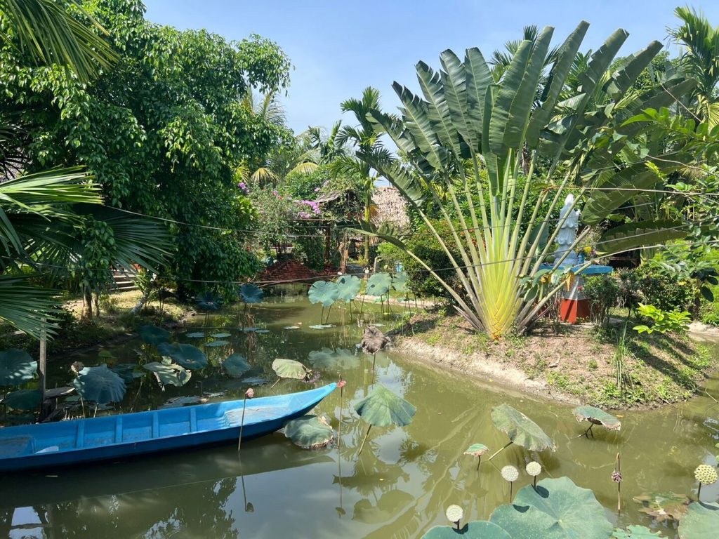 A blue boat moored on a lotus pond beside a tall fan-shaped palm.