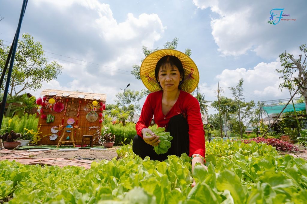 A woman in a conical hat and red blouse picking greens in the vegetable garden.