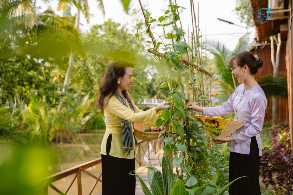 Two women picking from a climbing vine on a bamboo trellis.