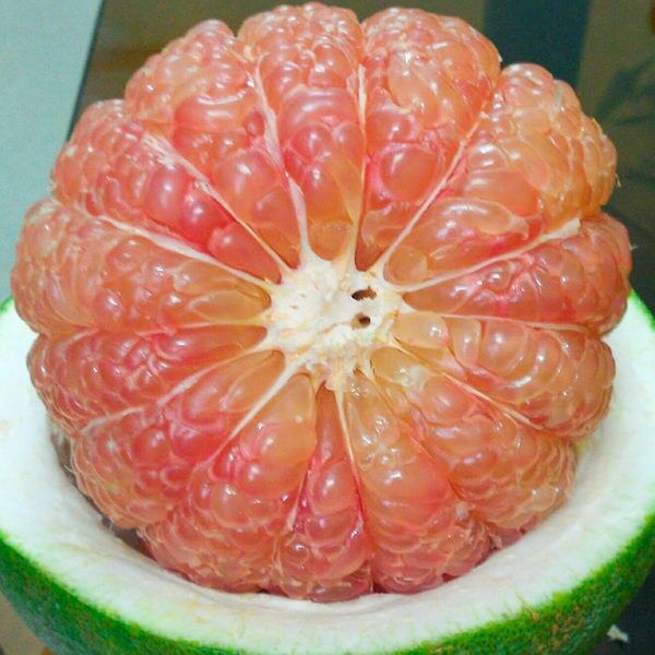 A peeled pink pomelo showing its juicy segments.