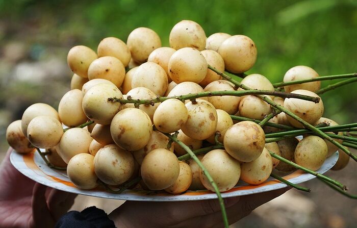 A plate of Hạ Châu berries still on their stems.