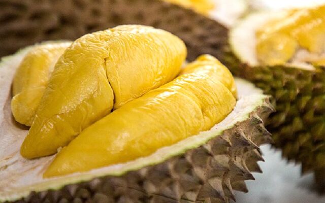 Golden durian segments in an opened husk.