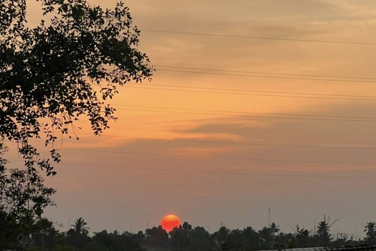 An orange sun sinking below a line of trees in a hazy sky.