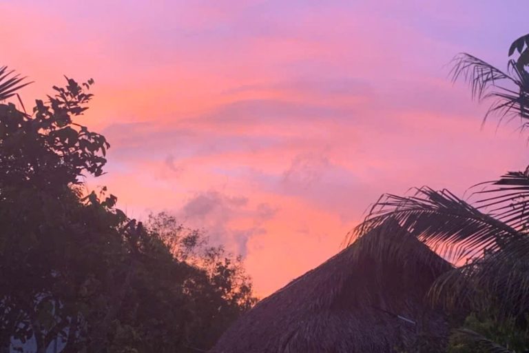 A pink and violet sunset sky above a thatched roof and palm fronds.