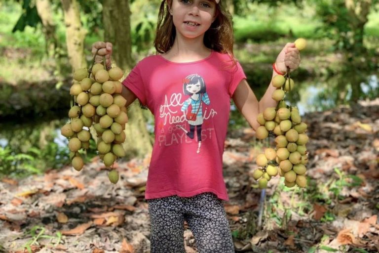 A young girl holding up two clusters of small round fruit in the orchard.