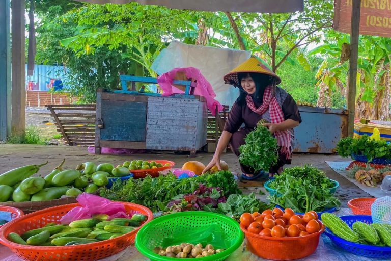 Người phụ nữ đội nón lá bán rau củ trong những chiếc thau nhiều màu ở chợ quê.