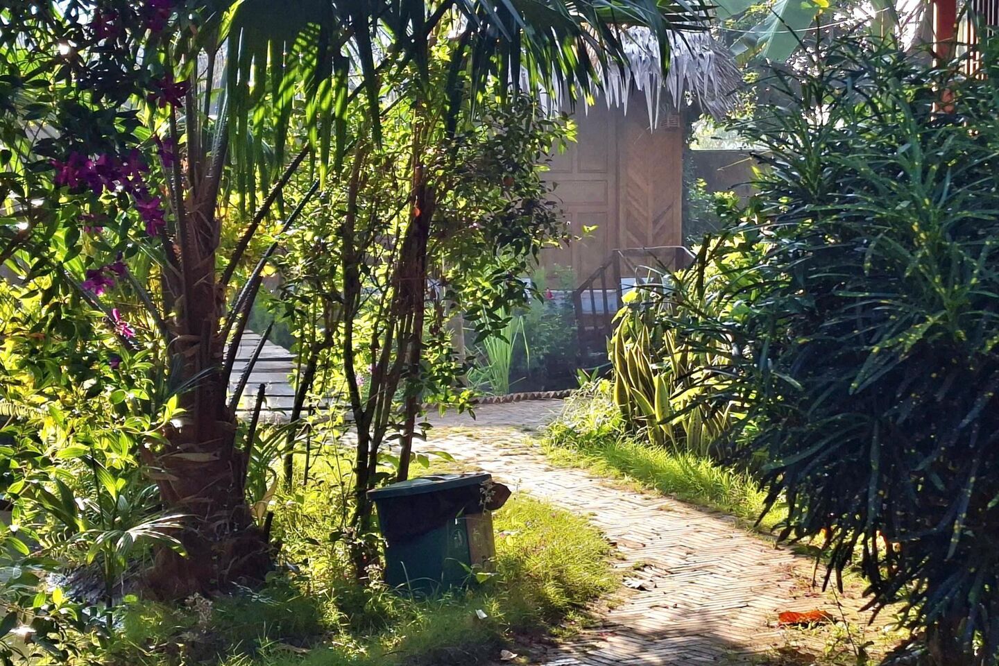 A sunlit garden path between palms leading to a wooden cabin.
