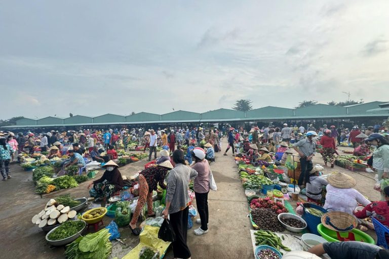 Khu chợ ngoài trời tấp nập, người bán bày rau củ dưới đất.