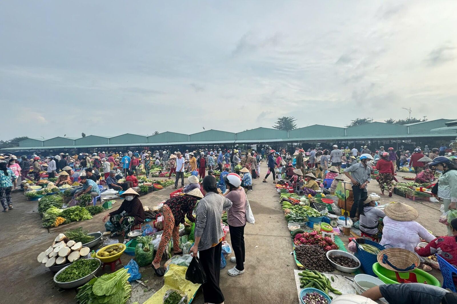 Khu chợ ngoài trời tấp nập, người bán bày rau củ dưới đất.