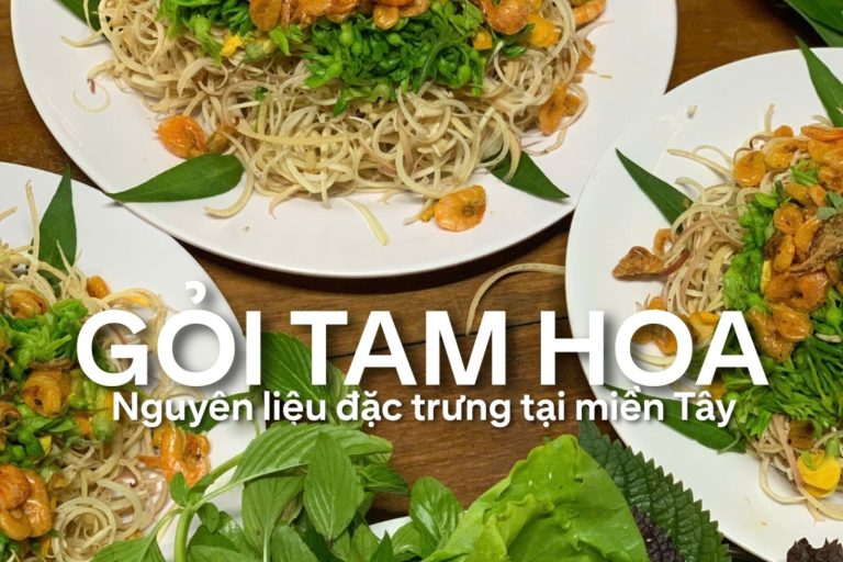 Plates of salad titled Gỏi Tam Hoa, with a line saying its ingredients are typical of the Mekong Delta.
