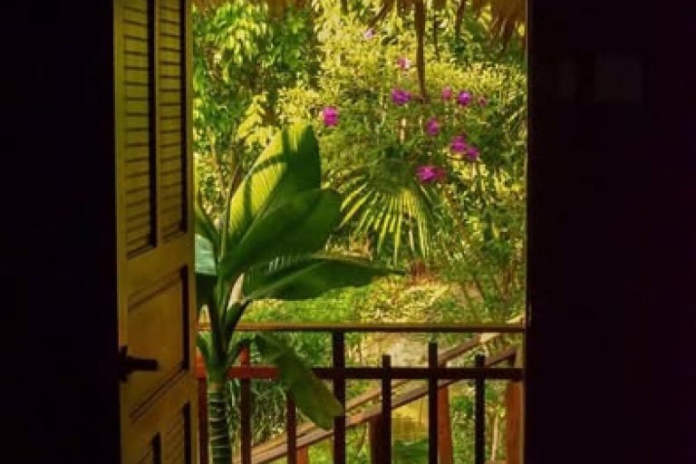 A view through open wooden shutters onto a balcony with green plants and purple flowers.