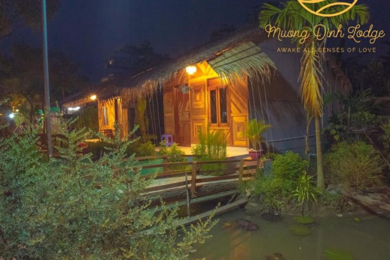 A thatched cottage lit warm yellow at night among plants, with the Mương Đình Lodge logo.