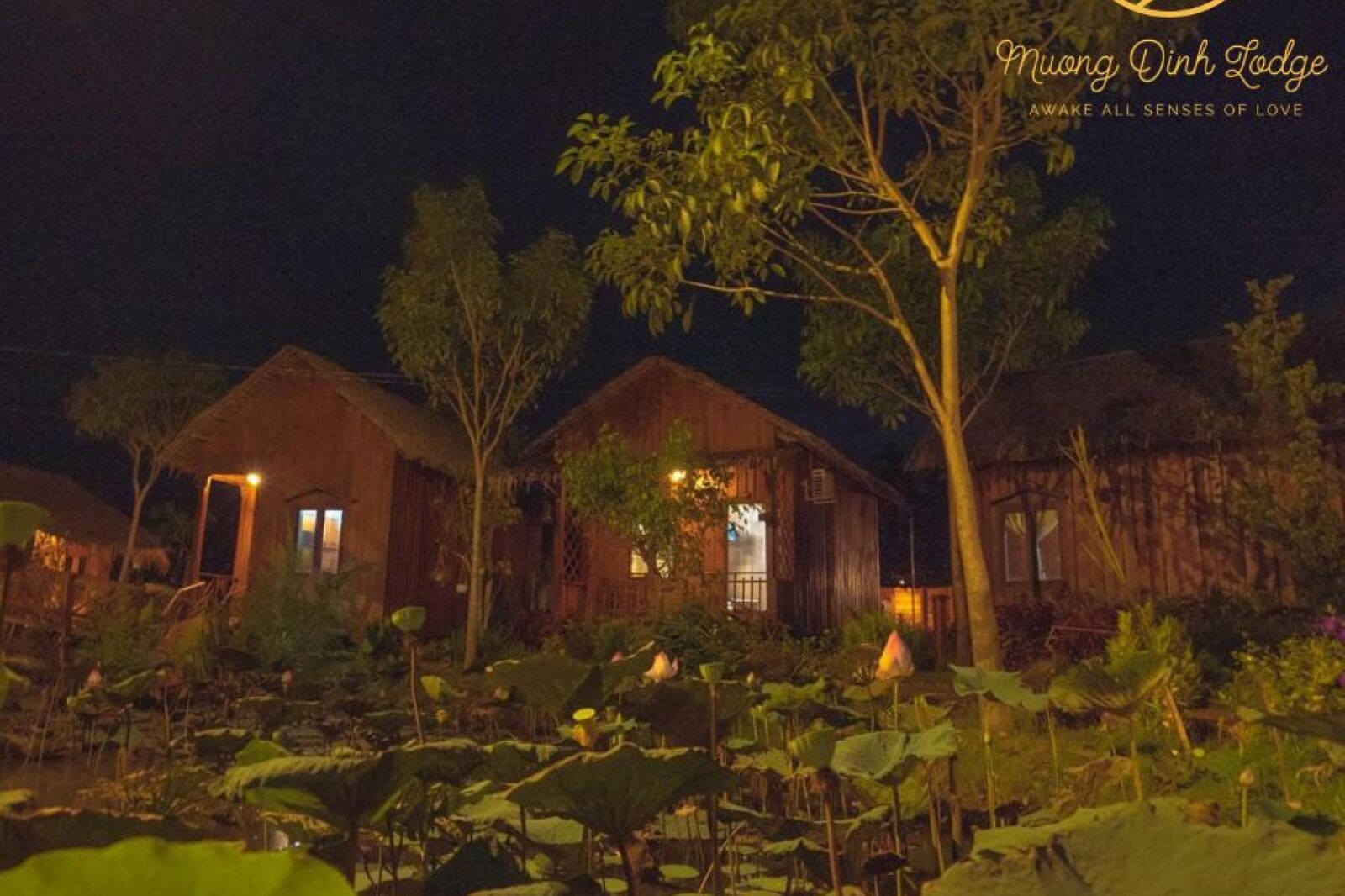 Lit wooden cottages behind a lotus pond at night, with the lodge logo.