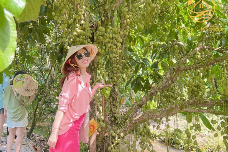 A woman in a conical hat and pink outfit under a tree heavy with fruit clusters.