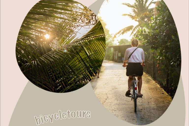 Two cut-out photos of palm fronds and a cyclist on a village lane, labelled bicycle tours.