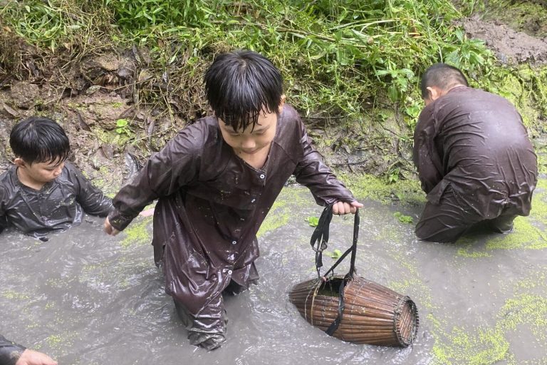 Các bé trai mặc áo nâu lội mương bùn với chiếc lờ tre bắt cá.