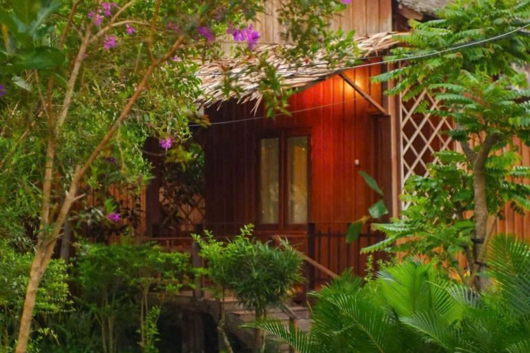 A wooden cottage with a lit window behind flowering shrubs.