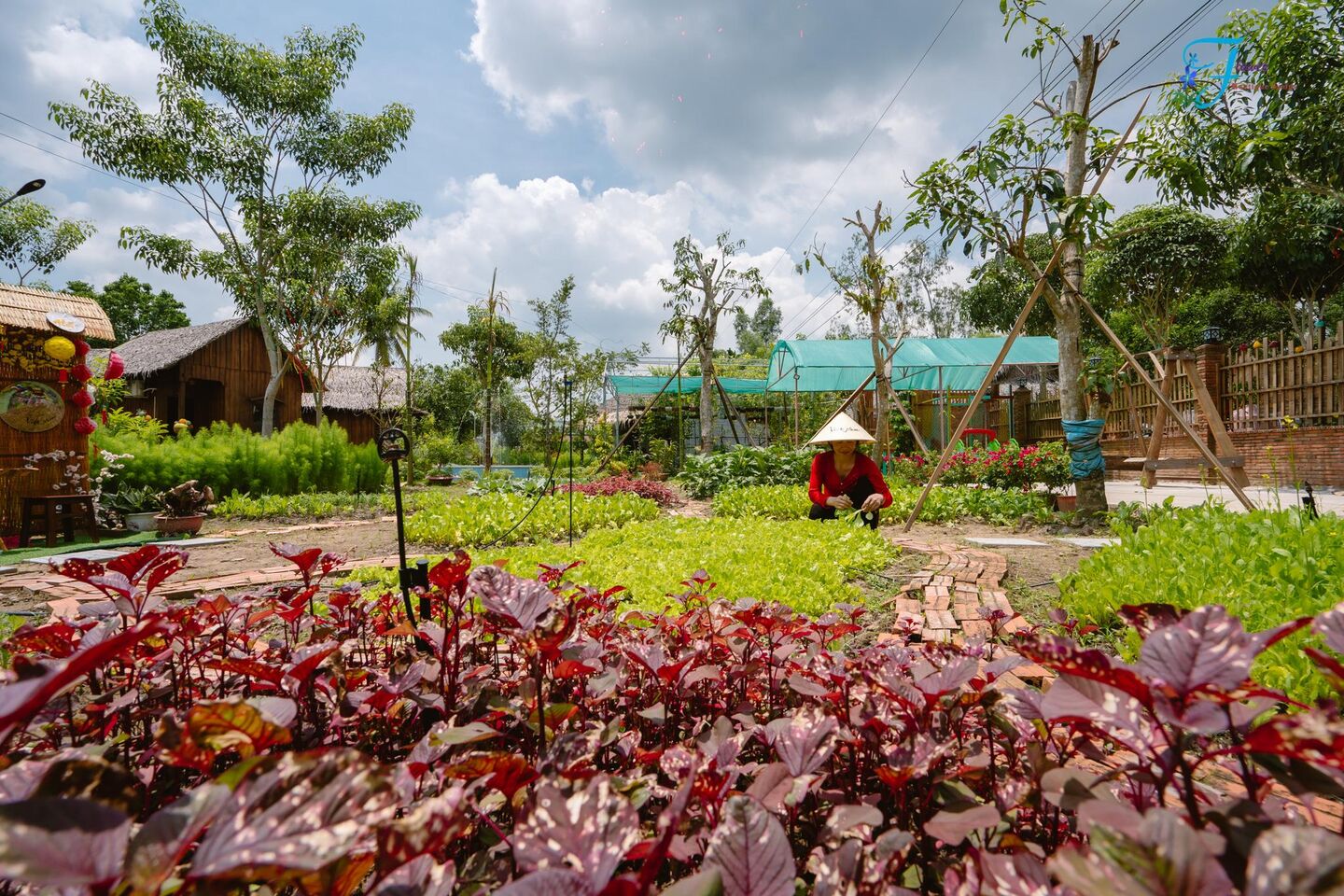 Red-leaved plants and green beds in the lodge's vegetable garden, with a gardener in a conical hat.