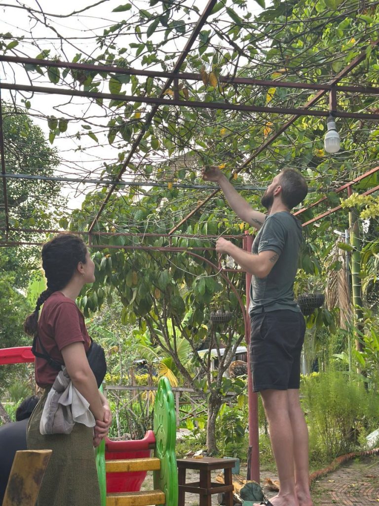 A man reaching up to pick fruit from a tree while a woman watches.