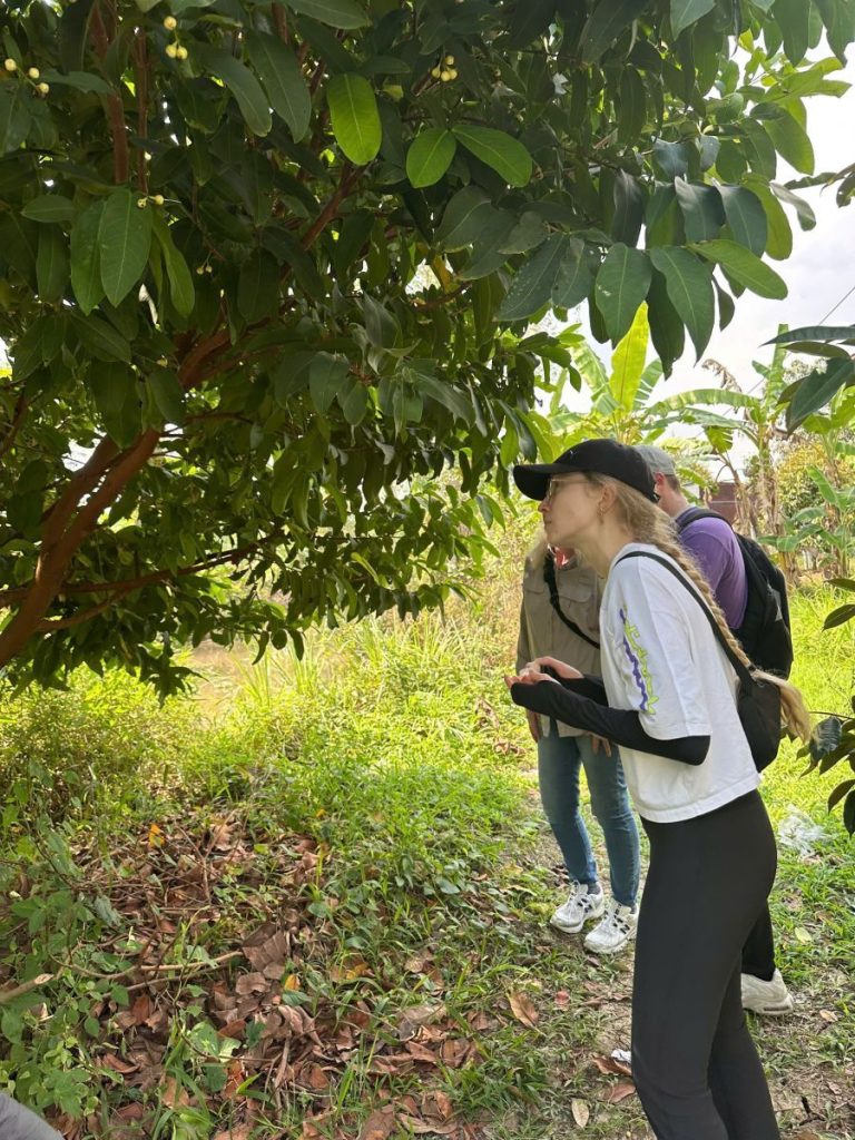 Visitors in caps walking through tall grass under fruit trees.