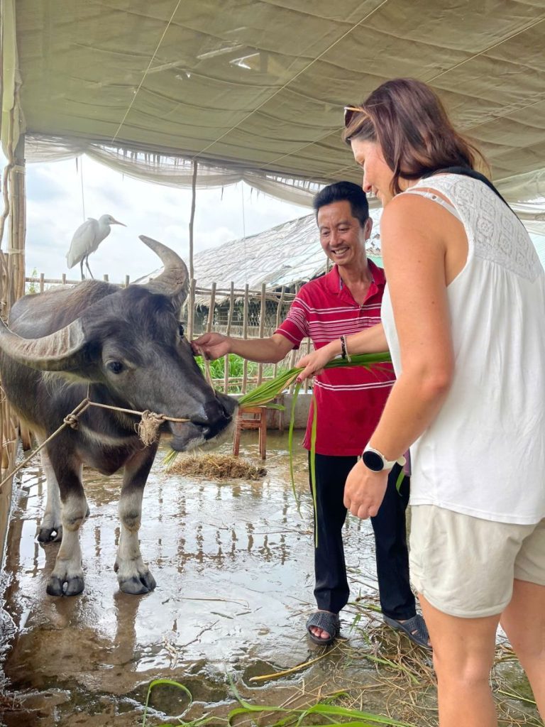 A woman and a man feeding grass to a water buffalo under a shelter.
