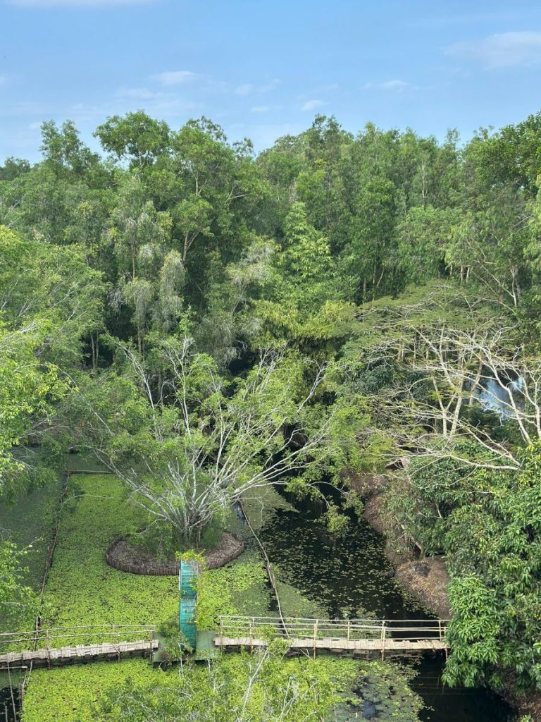 A view from above over dense green forest and a canal crossed by footbridges.