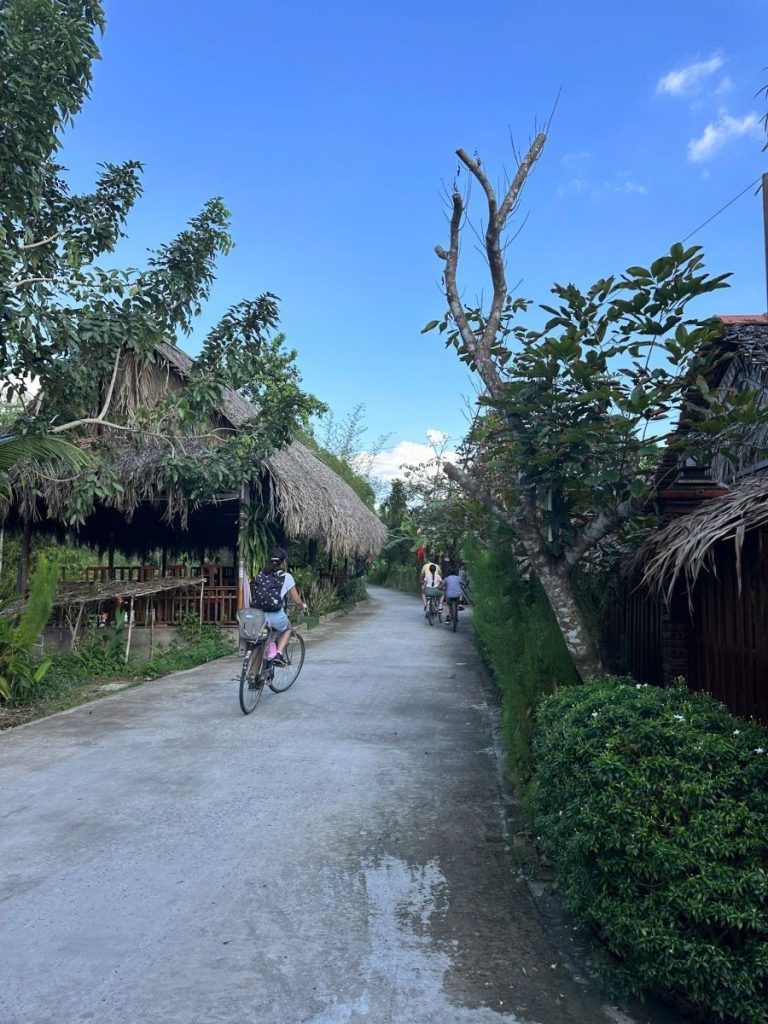 A cyclist on a quiet concrete lane between thatched huts and trees.