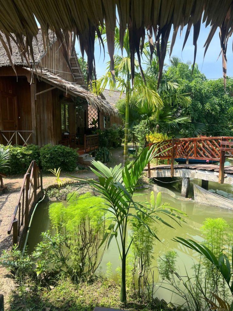 A young palm beside a green canal with a wooden bridge and thatched cottages.