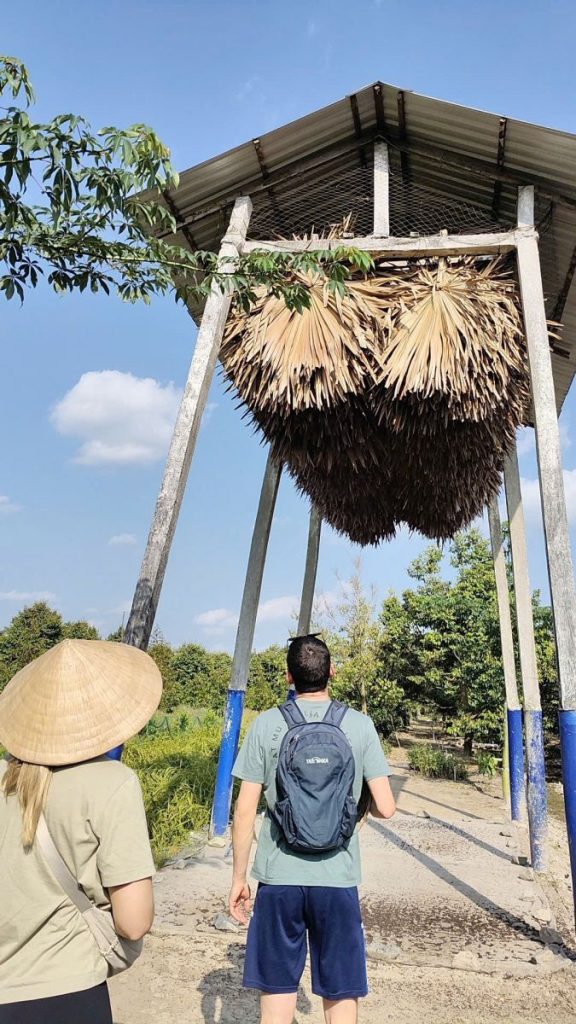 Two visitors looking up at bundles of leaf thatch drying on a tall frame.