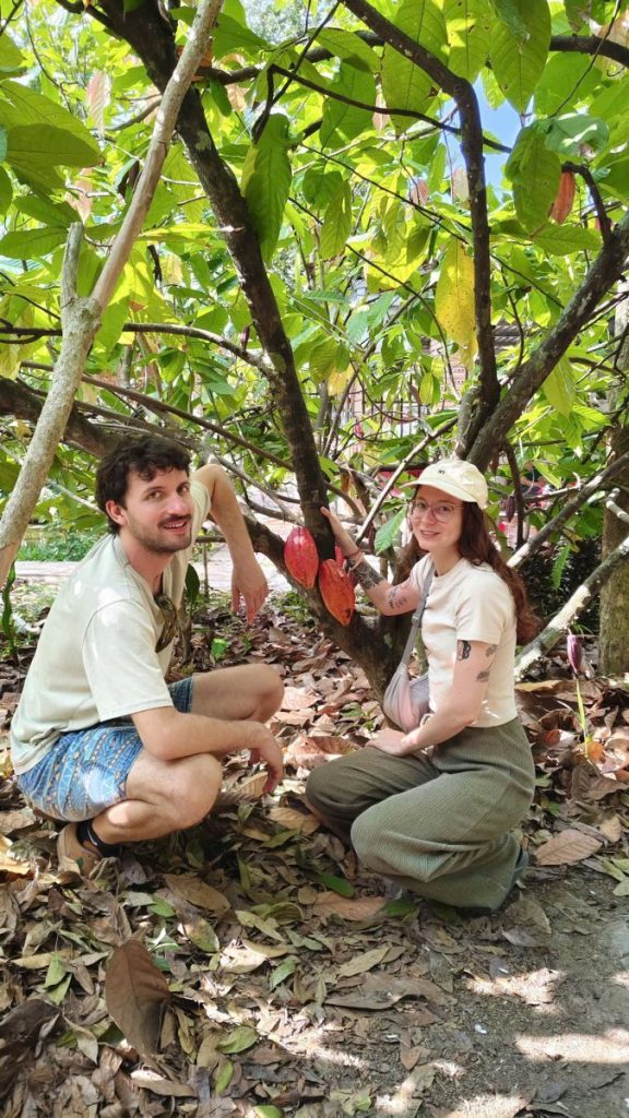 Two visitors crouching under trees hung with long pods in a shaded orchard.