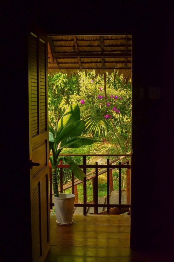 An open wooden door framing a balcony with a potted plant and a garden view.