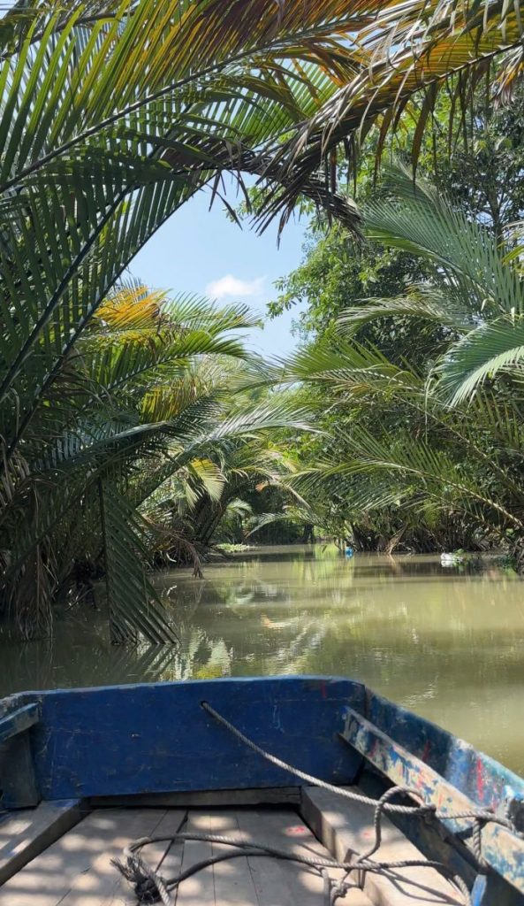 The bow of a blue boat on a canal under arching water palms.