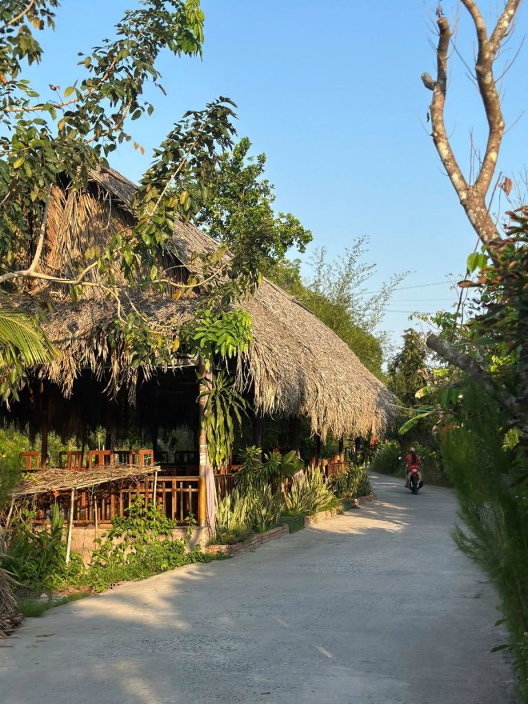 A sunlit lane beside a thatched pavilion and tall trees.