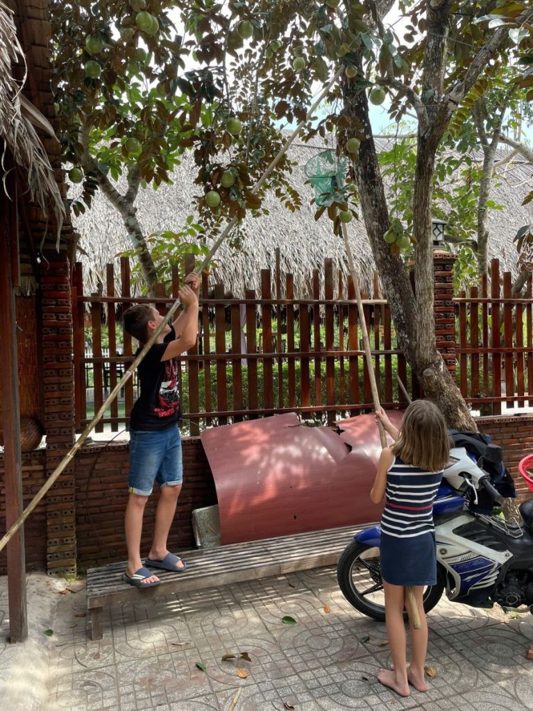 Two children reaching up with a pole to pick fruit by a wooden fence.