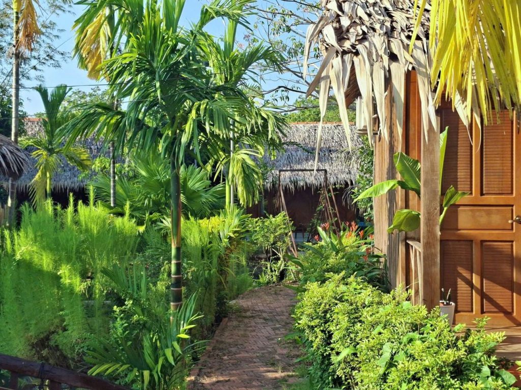 A narrow garden path between palms and shrubs leading to wooden cottages.