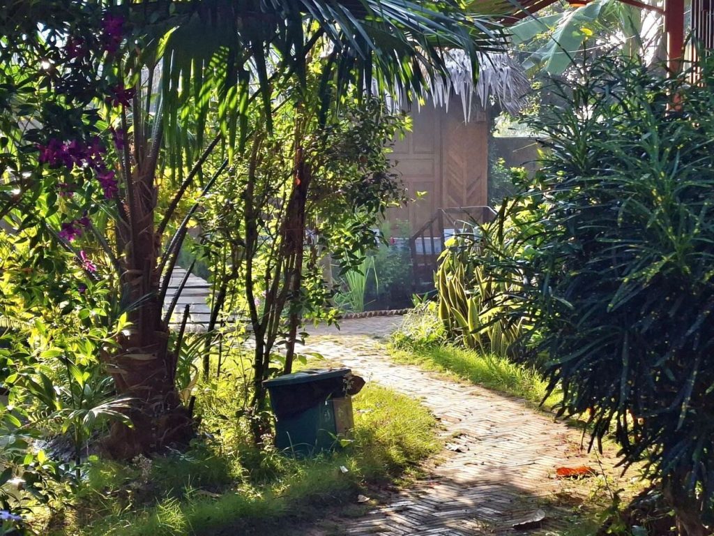A paved path through a shady garden, with a small bin under a palm.