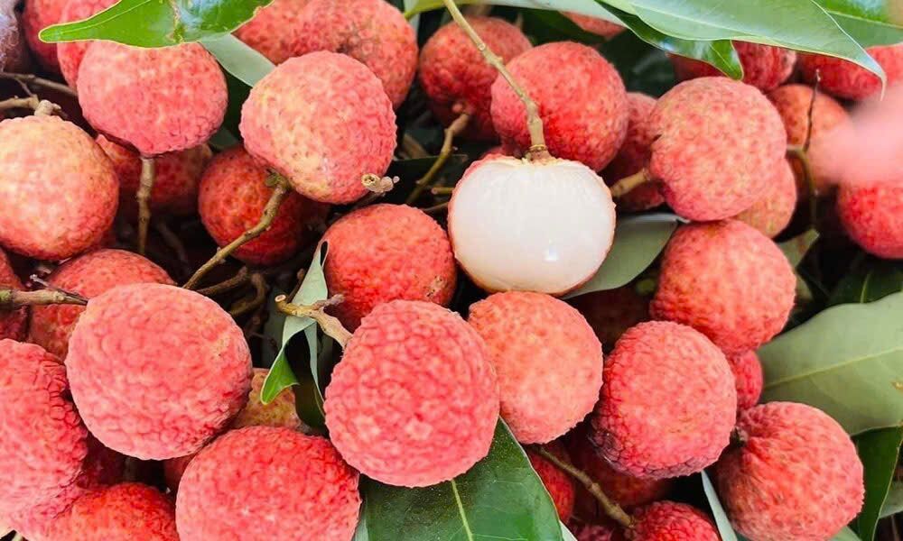 A pile of red lychees, one peeled to show the white flesh.
