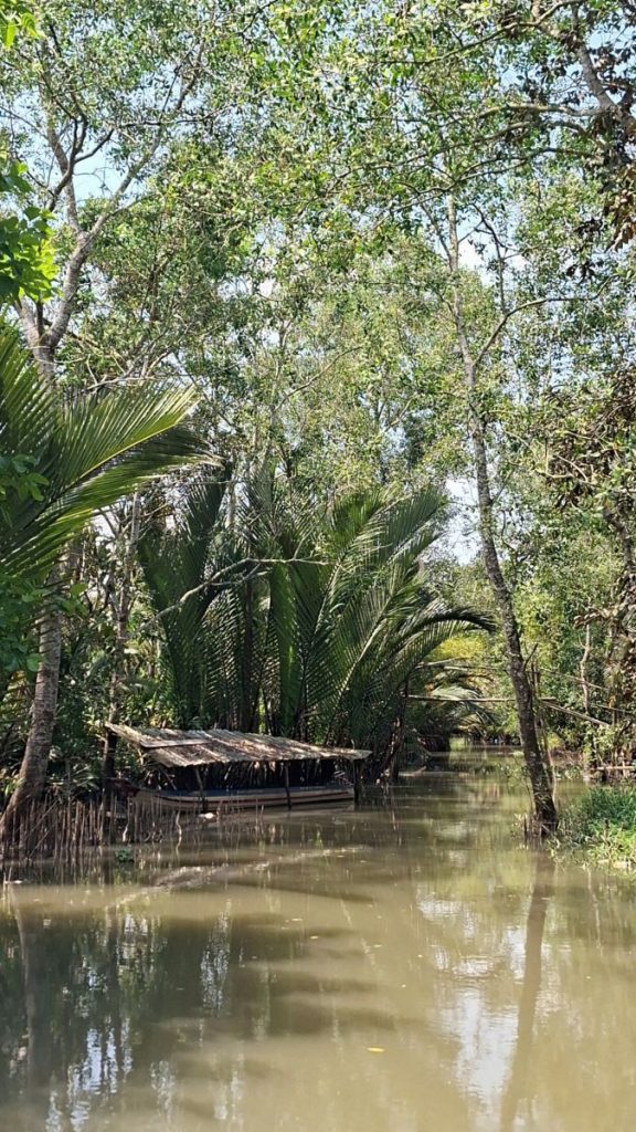 A quiet canal lined with water palms, with a small hut on the bank.