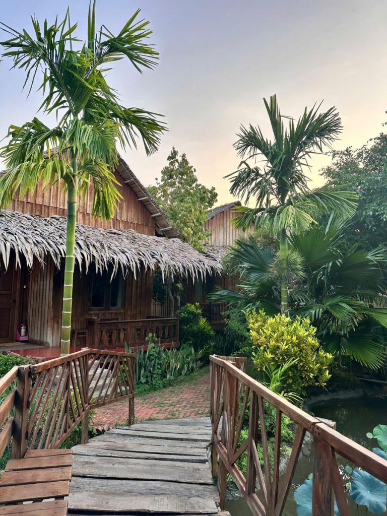 A wooden walkway between thatched cottages and areca palms.