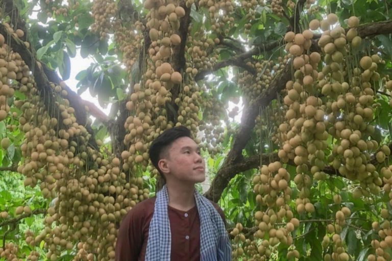 A young man in a checked scarf looks up at a tree hung with clusters of fruit.