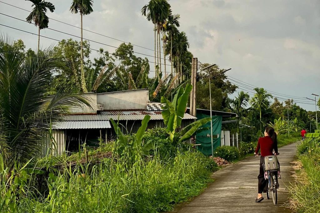A woman in a red top cycles down a small concrete village lane past banana plants, areca palms and a tin-roofed house.