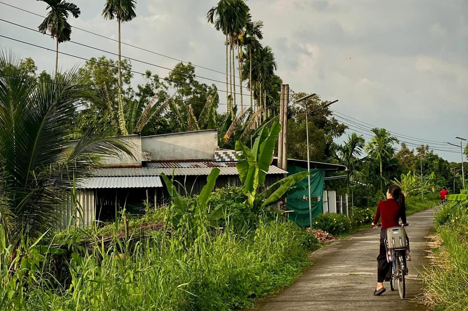 A woman in a red top cycles down a small concrete village lane past banana plants, areca palms and a tin-roofed house.