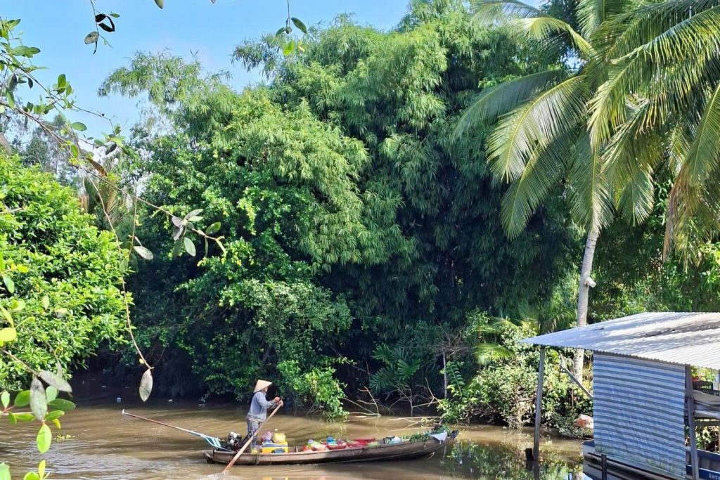 Canal bank with bamboo and a small boat.