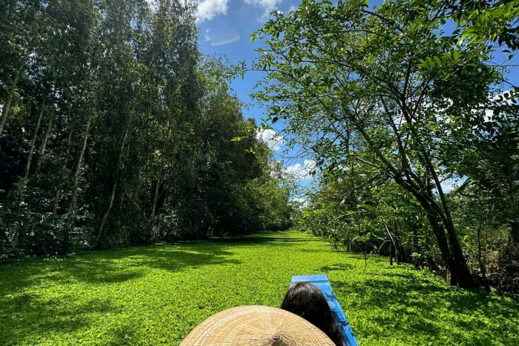 A duckweed-covered canal between tall trees.