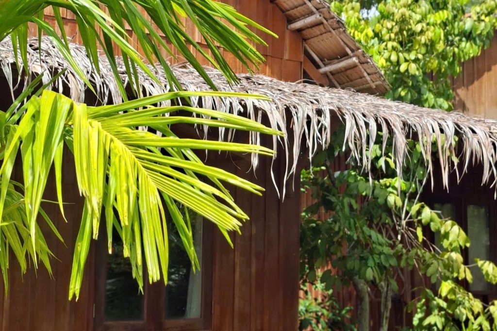 Thatched bungalow roof behind palm leaves.